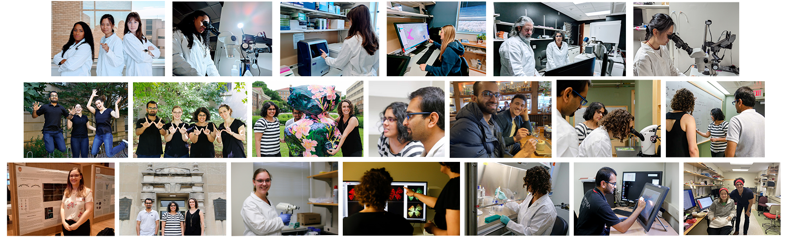 A collage of lab photos